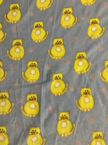 Yellow orange cats - orange, pink